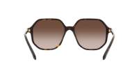 Swarovski SK6003 1002/13 57-16 Havana
