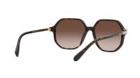 Swarovski SK6003 1002/13 57-16 Havana