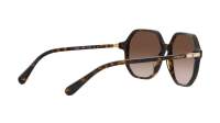 Swarovski SK6003 1002/13 57-16 Havana