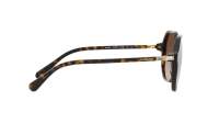 Swarovski SK6003 1002/13 57-16 Havana