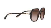 Swarovski SK6003 1002/13 57-16 Havana