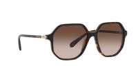 Swarovski SK6003 1002/13 57-16 Havana