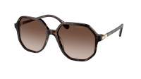 Swarovski SK6003 1002/13 57-16 Havana