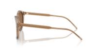Giorgio Armani AR8211 6072/33 52-20 Transparent Brown