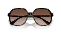 Swarovski SK6003 1002/13 57-16 Havana