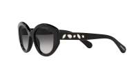 Swarovski SK6005 1001/8G 53-20 Nero