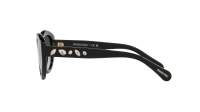 Swarovski SK6005 1001/8G 53-20 Nero