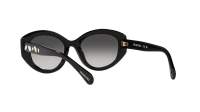 Swarovski SK6005 1001/8G 53-20 Nero