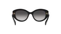 Swarovski SK6005 1001/8G 53-20 Black