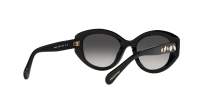 Swarovski SK6005 1001/8G 53-20 Nero