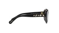 Swarovski SK6005 1001/8G 53-20 Nero