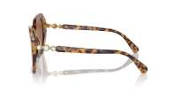 Swarovski SK6017 1004/73 56-17 Medium Havana
