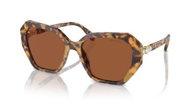 Sunglasses Swarovski SK6017 1004/73 56-17 Medium Havana in stock