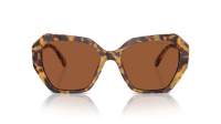 Swarovski SK6017 1004/73 56-17 Medium Havana