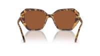 Swarovski SK6017 1004/73 56-17 Medium Havana