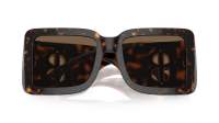 Burberry BE4406U 3002/73 55-20 Dark havana
