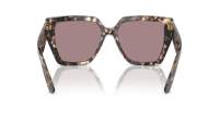 Dolce & Gabbana DG4438 3438/7N 55-17 Havana Brown Pearl
