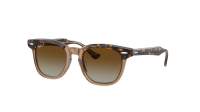 Ray-Ban RJ9098S 7152/T5 45-18 Havana on transparent
