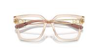 Dolce & Gabbana DG3376B 3432 53-18 Transparent Camel