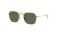 Ray-Ban RJ9594S 223/71 49-19 Arista
