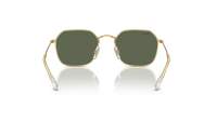 Ray-Ban RJ9594S 223/71 49-19 Arista
