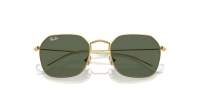 Ray-Ban RJ9594S 223/71 49-19 Arista