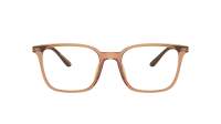Emporio Armani EA3242U 6110 52-19 Shiny Transparent Brown