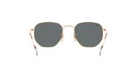 Ray-Ban Hexagonal RB3548N 001/R5 51-21 Arista