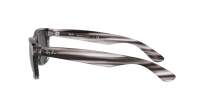 Ray-Ban New wayfarer RB2132 6430/B1 52-18 Stripped Grey Havana