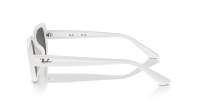 Ray-Ban RB4421D 6772/87 56-18 Bijela