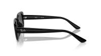 Ray-Ban RB4421D 6677/87 56-18 Black 