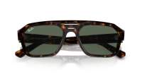 Ray-Ban Corrigan RB4397 1359/71 54-20 Tartaruga