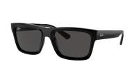 Ray-Ban Warren RB4396 6677/87 57-20 Black