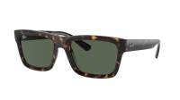 Ray-Ban Warren RB4396 1359/71 57-20 HAVANE