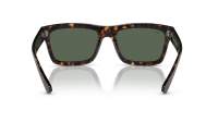 Ray-Ban Warren RB4396 1359/71 57-20 Tartaruga