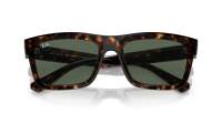 Ray-Ban Warren RB4396 1359/71 57-20 Tartaruga