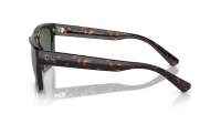 Ray-Ban Warren RB4396 1359/71 57-20 Tartaruga