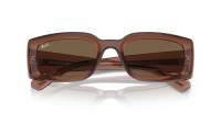 Ray-Ban Kiliane RB4395 6678/73 54-21 Transparent Brown