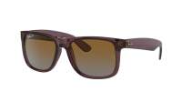 Ray-Ban Justin RB4165 6597/T5 51-16 Transparent Dark Brown