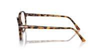 Persol PO3343V 1052 51-21 Madreterra