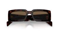 Prada Talc PR A07S 16N-5Y1 52-20 Tartaruga