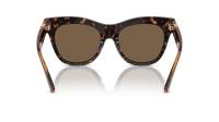 Burberry BE4418 3002/73 54-19 Dark Brown