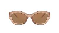 Michael kors Bel air MK2209U 3999/O 54-18 Brown transparent