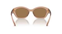 Michael kors Bel air MK2209U 3999/O 54-18 Brown transparent