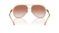 Versace VE2260 1002/13 60-16 Brown transparent