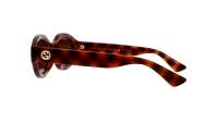 Gucci Gg logo GG1579S 002 53-22 Tartaruga