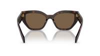 Prada Logo PR A09S 16N-5Y1 53-18 Briar Tortoise