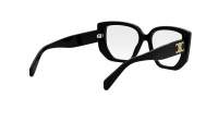 CELINE Triomphe CL50146I 001 53-16 Nero