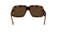 Loewe Paula's ibiza LW40064U 52G 56-17 Tartaruga