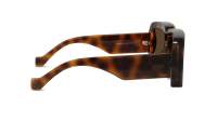 Loewe Paula's ibiza LW40064U 52G 56-17 Tartaruga
